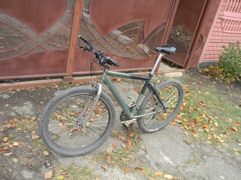 DSCN3495.jpg