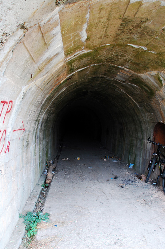 DSC_1331.jpg