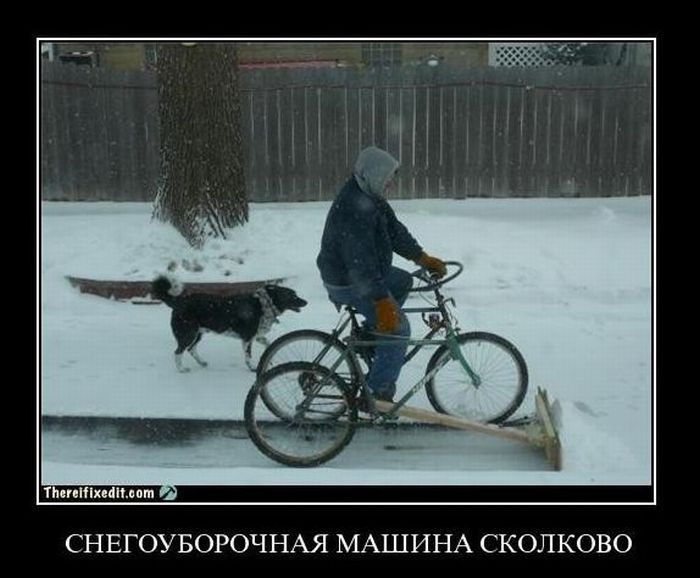 д88 (39).jpg