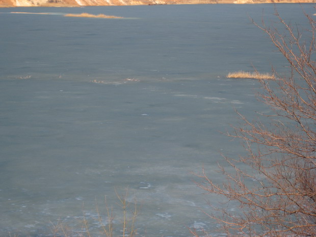 IMG_0522_resize.JPG