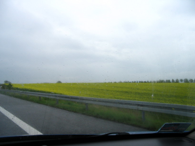 IMG_0090_resize.JPG
