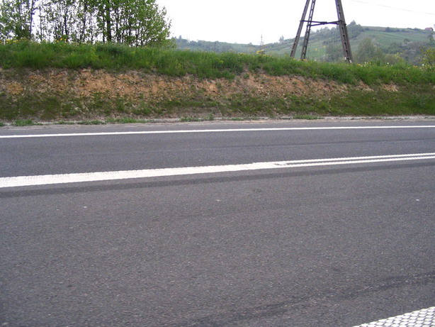IMG_0121_resize.JPG