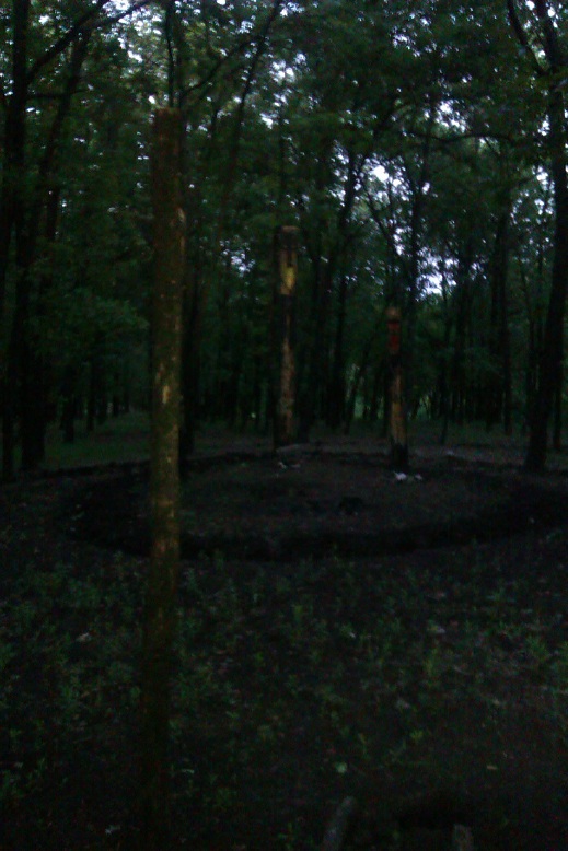 IMAG0139.jpg