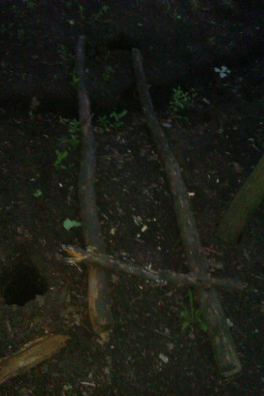 IMAG0140.jpg