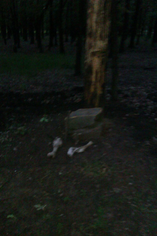 IMAG0143.jpg