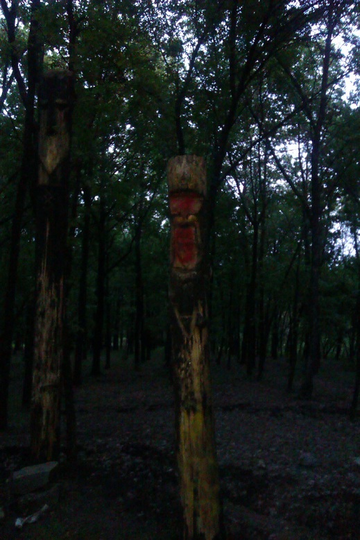 IMAG0144.jpg