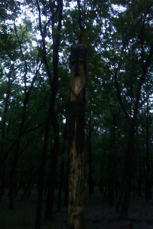 IMAG0145.jpg