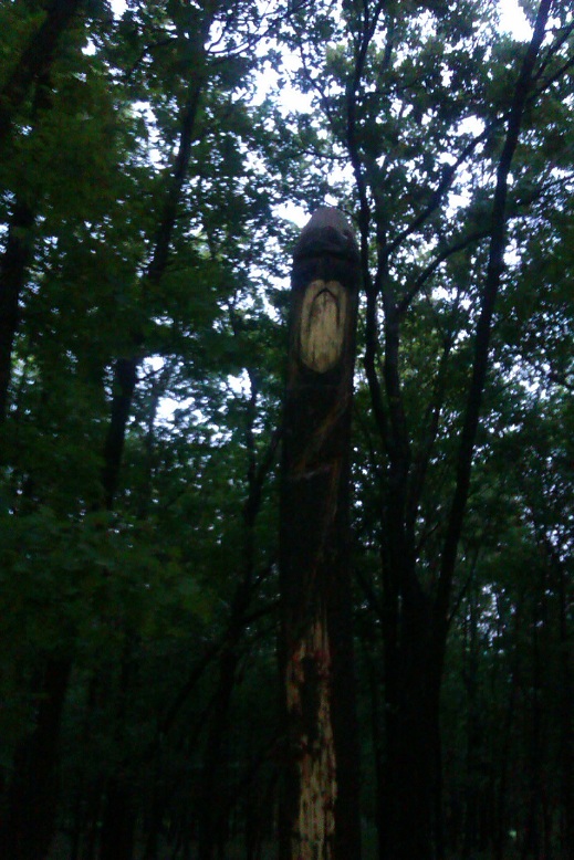 IMAG0146.jpg
