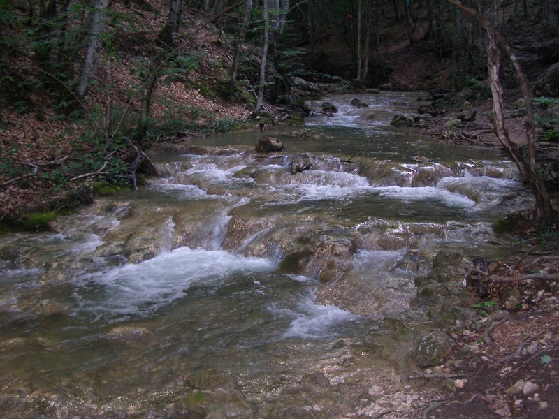 P6300046.JPG