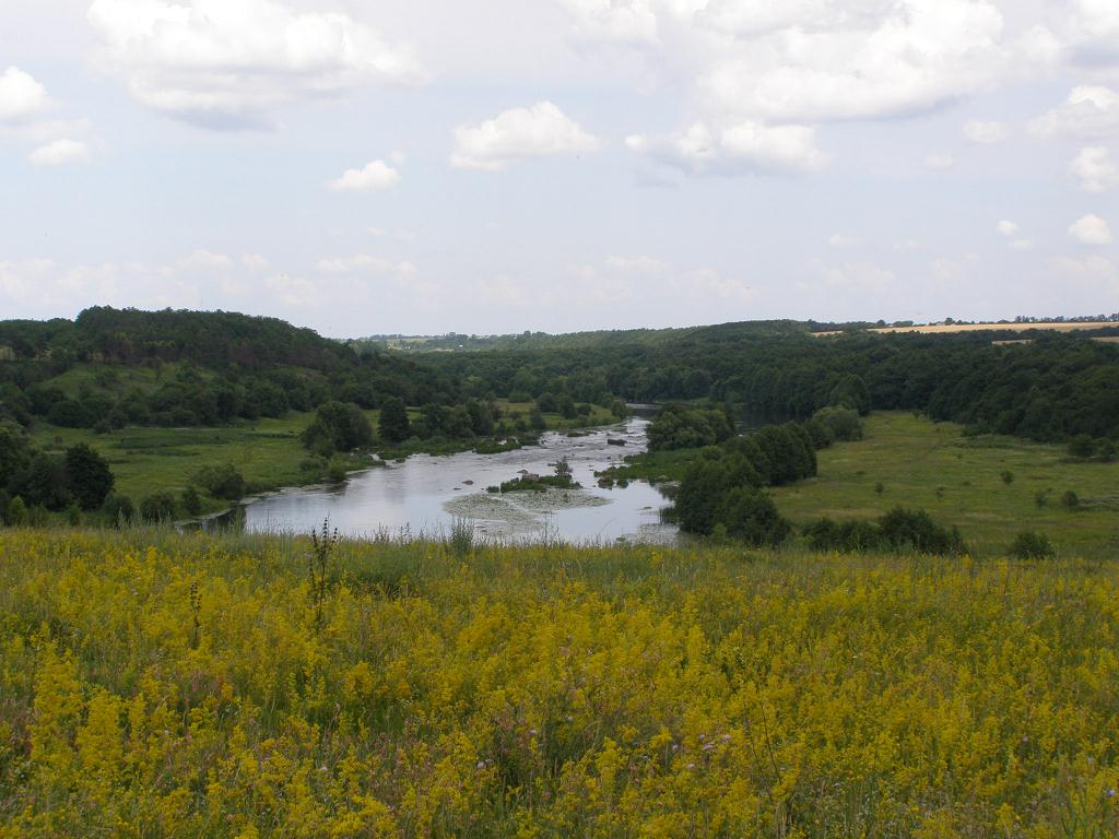 P6301199[+].jpg