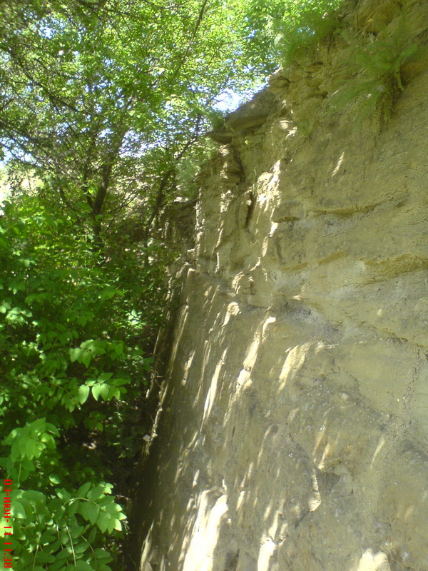 DSC00386.JPG