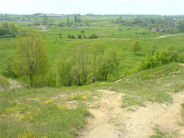 DSC07689.GIF