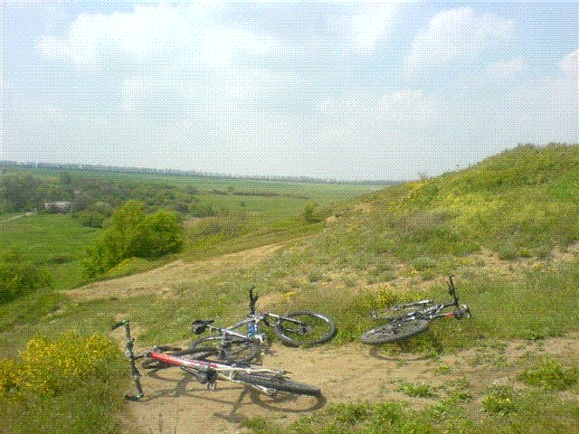 DSC07688.GIF
