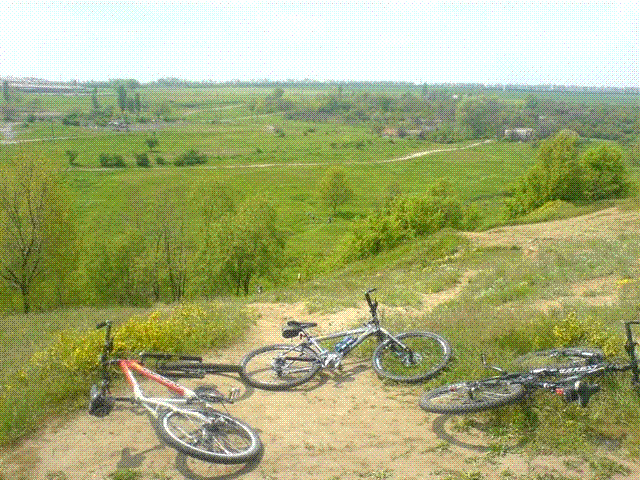 DSC07686.GIF