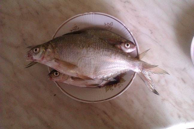 IMAG0208.jpg