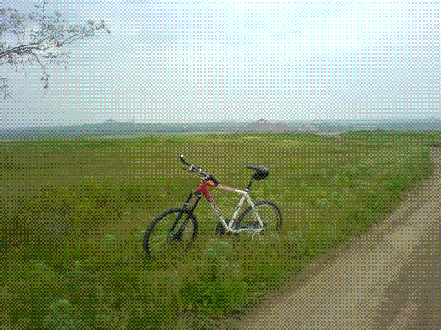 DSC07699.GIF