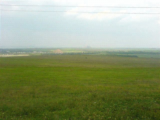 DSC07695.GIF