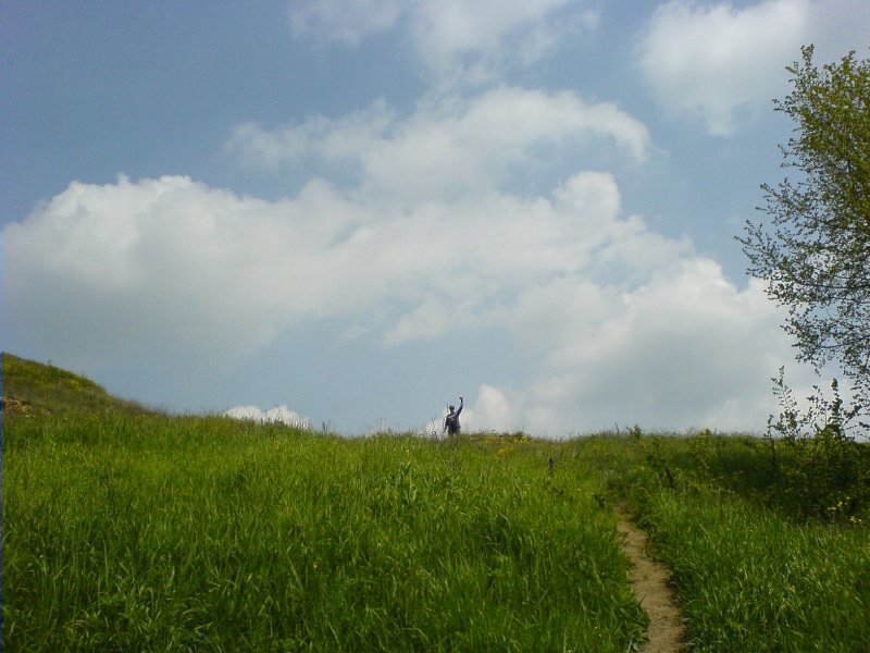 DSC00770.JPG