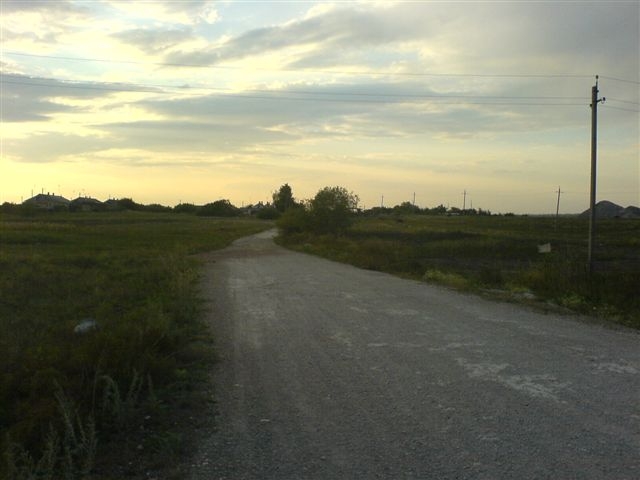 DSC07118.JPG