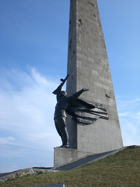 CIMG8010.JPG