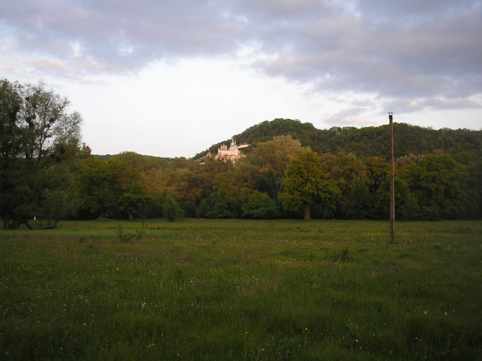P5104991.jpg