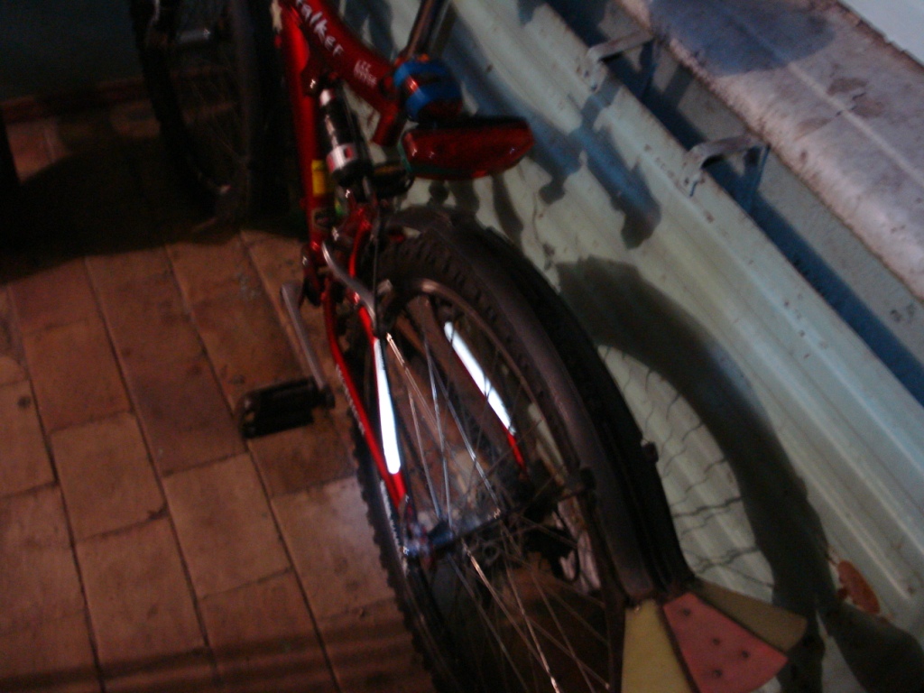 DSC05020.JPG