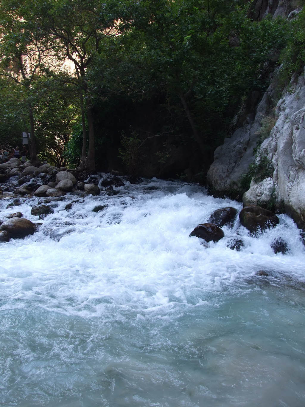 DSCF4989_resize.jpg