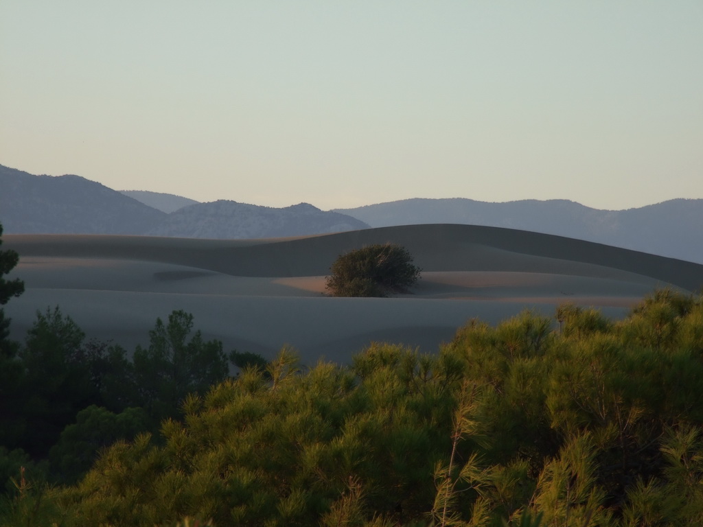 DSCF5056_resize.JPG