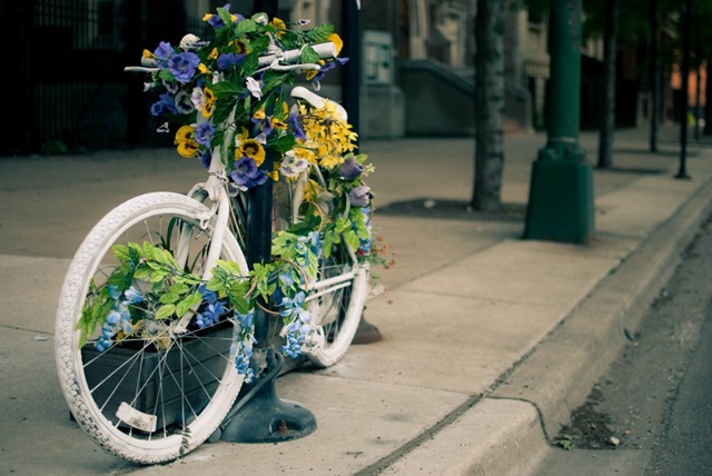 20100519DSC_0443.jpg