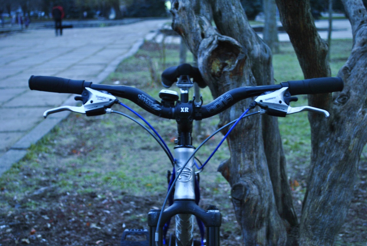 z_45e688d1.jpg
