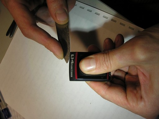P1010028.jpg