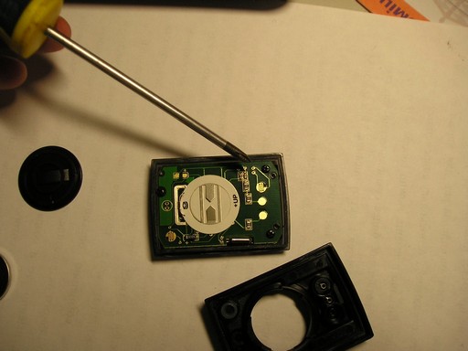 P1010031.jpg