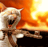 12718_prev_98.gif