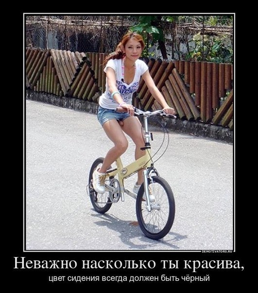 x_61211acb.jpg