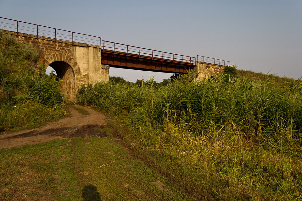 _MG_7098.jpg