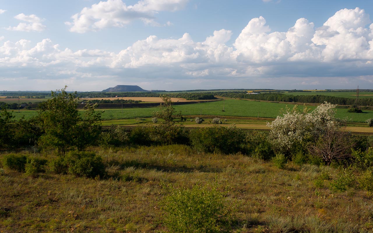 _MG_7160.jpg