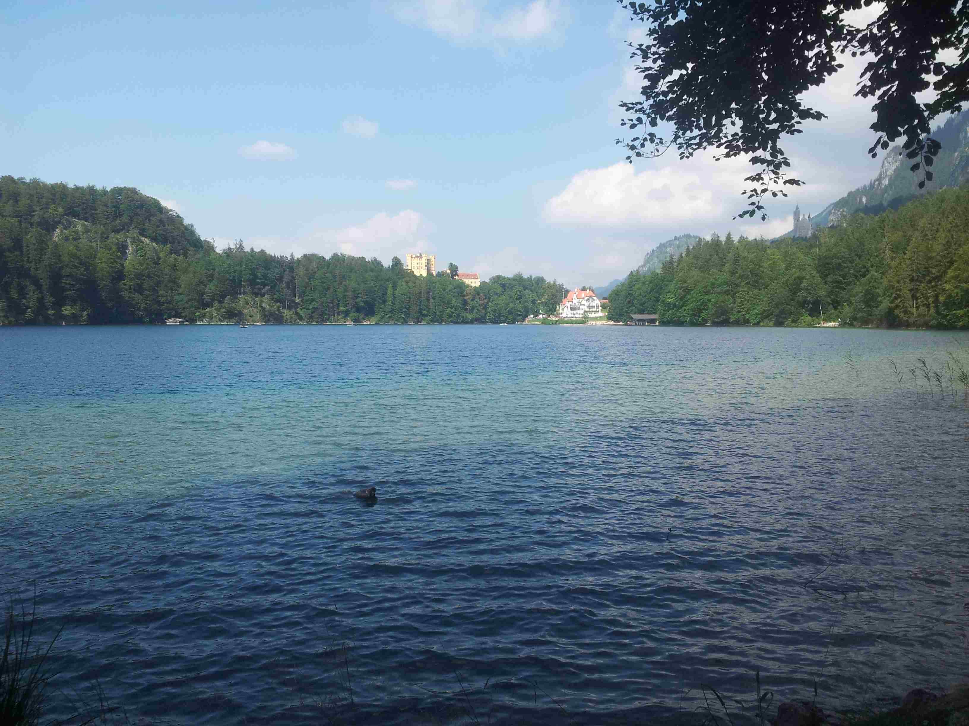 20120811_154257.jpg
