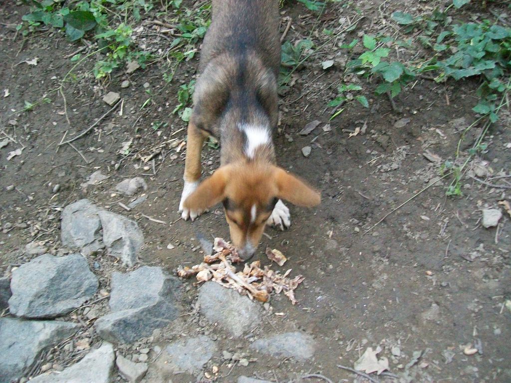 100_6242.JPG