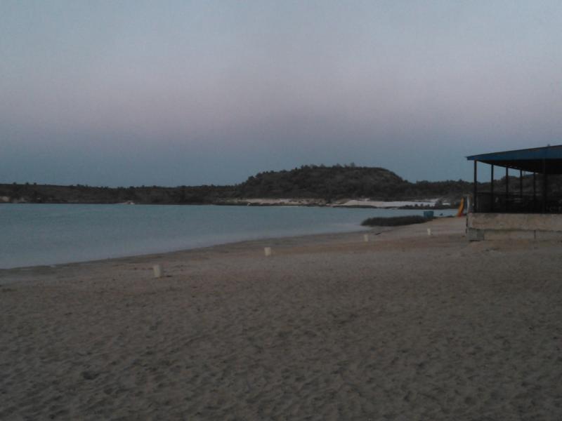 WP_000661.jpg