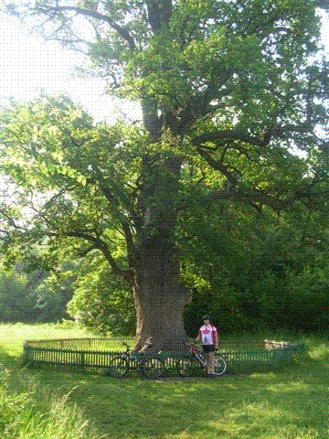 DSCN6751.GIF