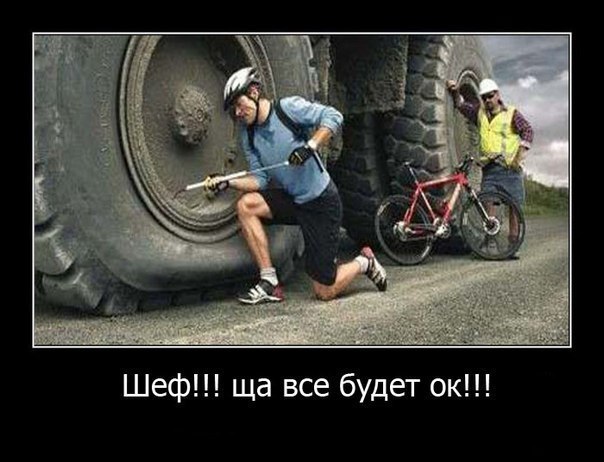 вело.jpg