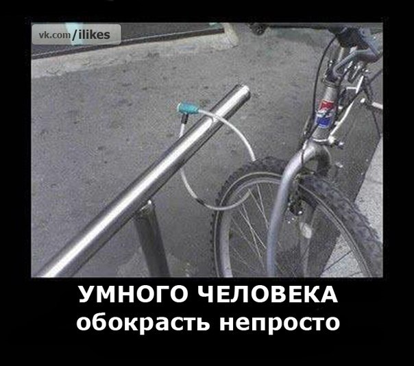 vEpOnlWy590.jpg