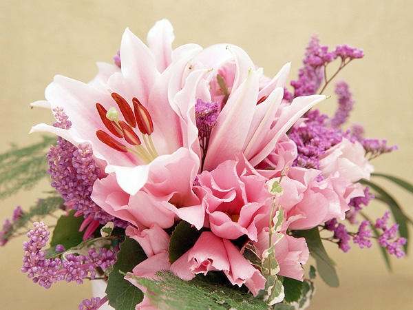 flowers11.jpg