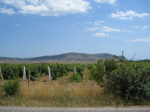 IMG_1841_resize.JPG
