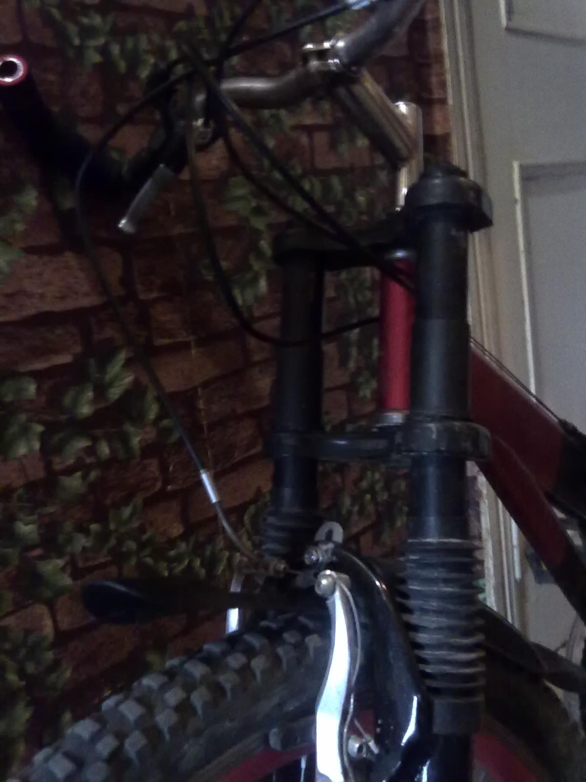 02042013284.jpg
