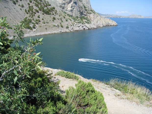 IMG_1859_resize.JPG