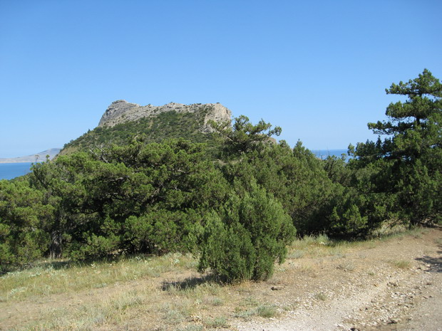 IMG_1858_resize.JPG