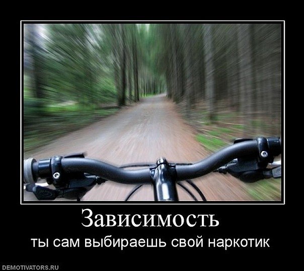 x_cffe1a8e.jpg