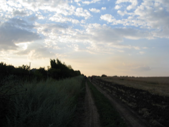 IMG_1896_resize.JPG