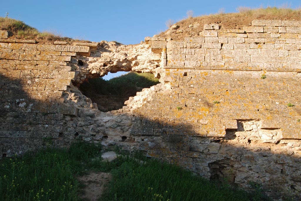 DSC_1433a.jpg
